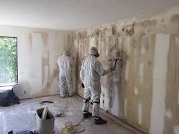 Best Water Damage & Mold Remediation  in Kaloko, HI